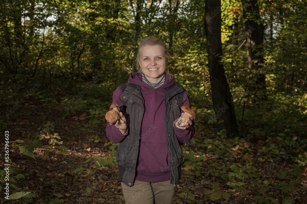 Bulbosus Boletus Edulis. Collection mushrooms. Mushrooms in the hands Bulbosus Boletus Edulis. Collection mushrooms. Mushrooms in the hands