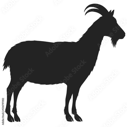 Silhouette of goat isolated on white