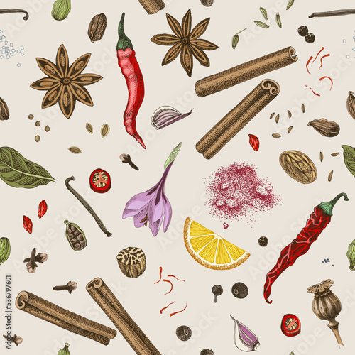 Seamless pattern with hand draw spices