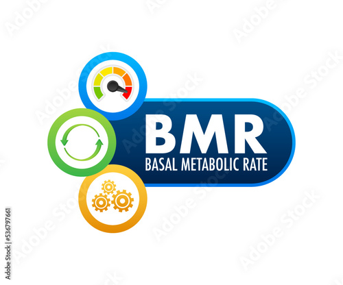 BMR - Basal Metabolic Rate acronym. Vector stock illustration.