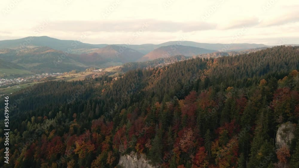 Autumn road and forest from above Autumn road and forest from above