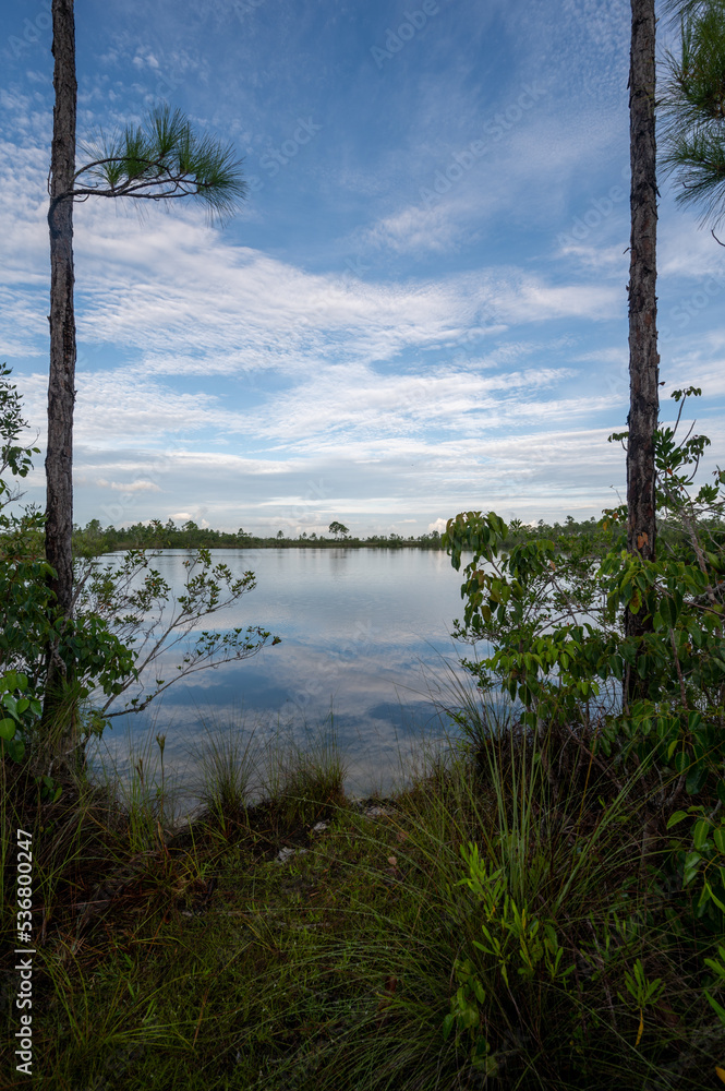 Obraz premium Summer cloudscape over Pine Glades Lake in Everglades National Park, Florida.