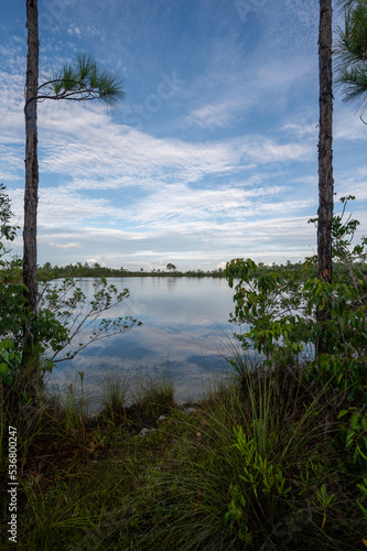 Summer cloudscape over Pine Glades Lake in Everglades National Park  Florida.