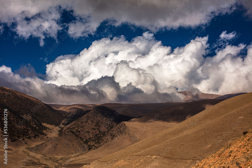 Naklejka premium landscape with sky and clouds