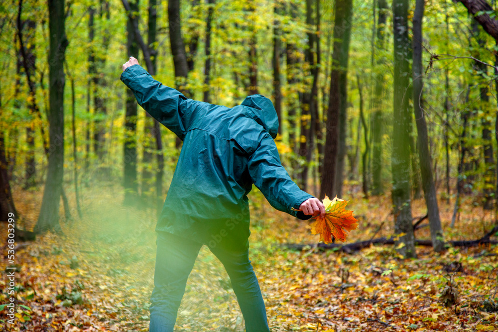 Bearded man with yellow maple leaf in autumn in the forest. Portrait of a man in the autumn forest. The bearded man stands, sits, walks in the autumn forest. The concept of nature, parks, recreation. Bearded man with yellow maple leaf in autumn in the forest. Portrait of a man in the autumn forest. The bearded man stands, sits, walks in the autumn forest. The concept of nature, parks, recreation.