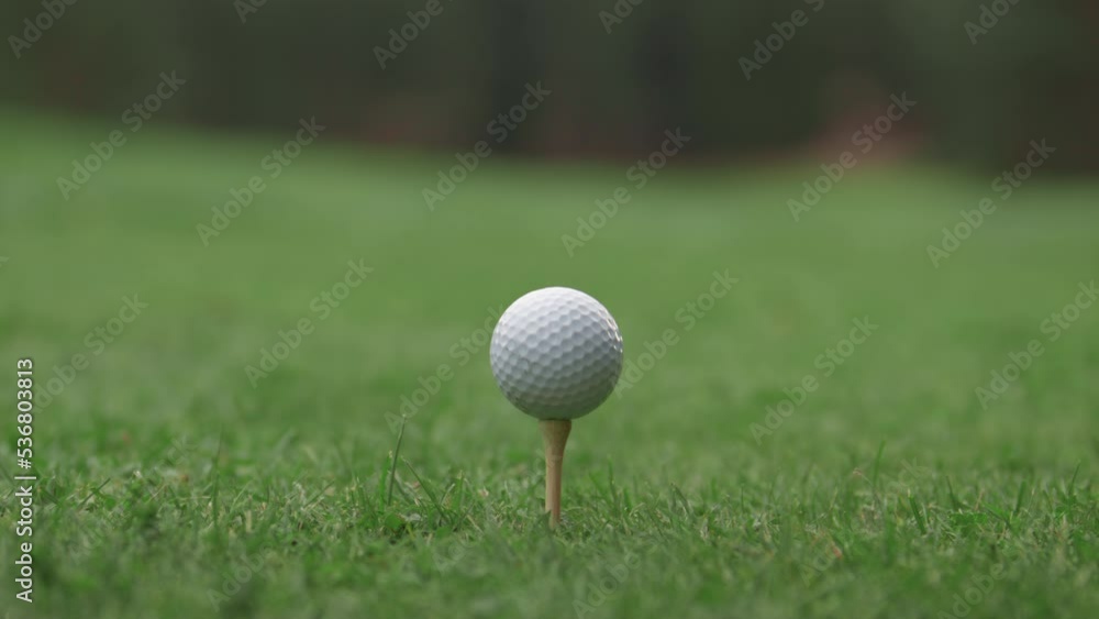 ECU Close up golf ball standing on the turf ECU Close up golf ball standing on the turf