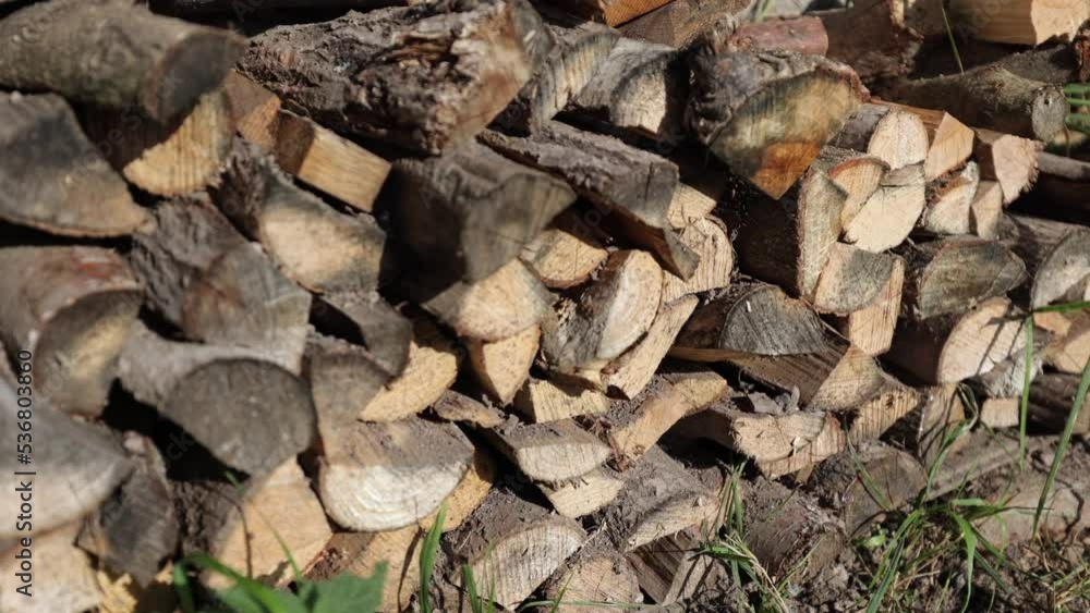 Firewood for the winter, gas replacement in the house, preparation for winter, forest firewood Firewood for the winter, gas replacement in the house, preparation for winter, forest firewood