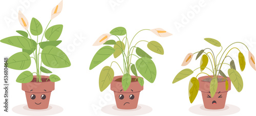 Cartoon fading houseplant. Dying cute flower in flowerpot, smiling and sad plant character, growing process floral or die stage old sick houseplants wilted leaf vector illustration