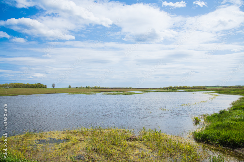 Naklejka premium Summer landscape on the river bank