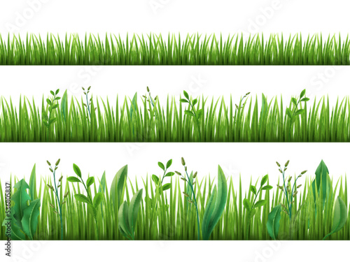 Realistic grass growth. Different stages green plants growing, fresh herbs stripes, lawn borders, garden weeds, broad leaves, horizontal meadow pattern set, 3d elements utter vector concept