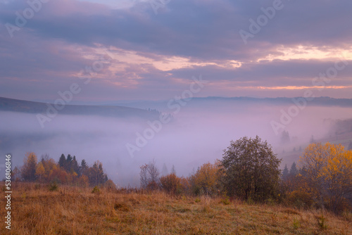 Beautiful autumn scenery of foggy valley at Carpathian mountains at early morning before sunrise. Grass hill with yellow trees in the foreground. © stone36