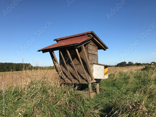 Wooden Feeder in the Field