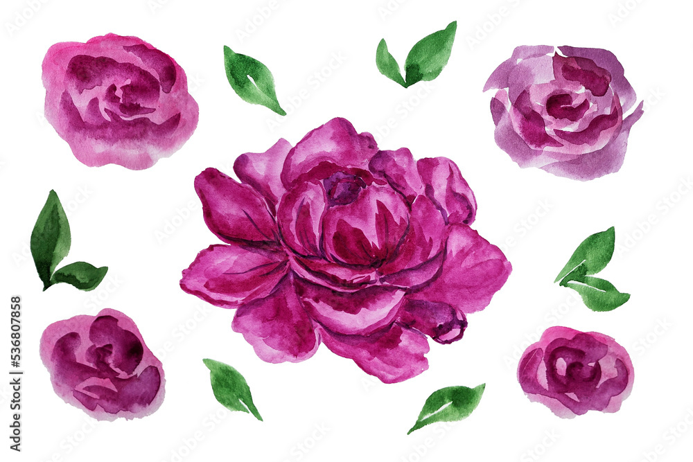 Fototapeta premium Hand drawn watercolor set of flowers. Purple. Peony. Rose. Simple drawing. Watercolor flowers. Set of elements for decor. Texture.