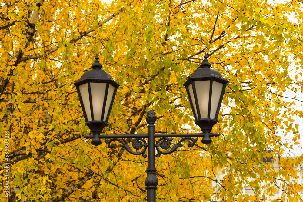 Street lighting in the city.Autumn.Comfortable urban environment.