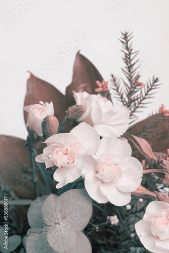Soft focus smoke Flower bouquet vertical background. Carnations and Anemones with leaf.Pastel beige tone.
