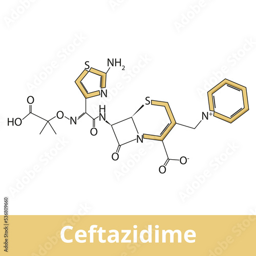 Ceftazidime. A third-generation cephalosporin antibiotic useful for the treatment of a number of bacterial infections. Chemical structure.