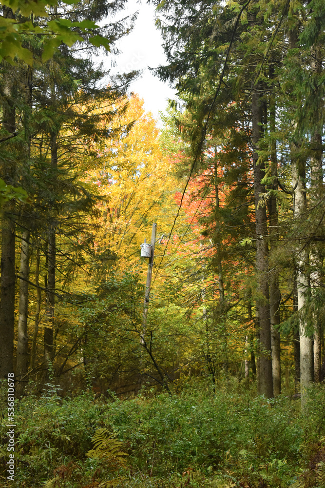 Fototapeta premium La Plaine 9 Octobre 2022