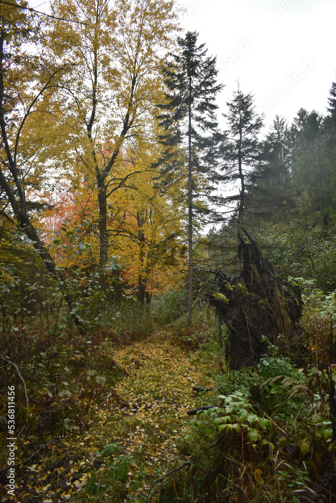 Obraz premium La Plaine 9 Octobre 2022