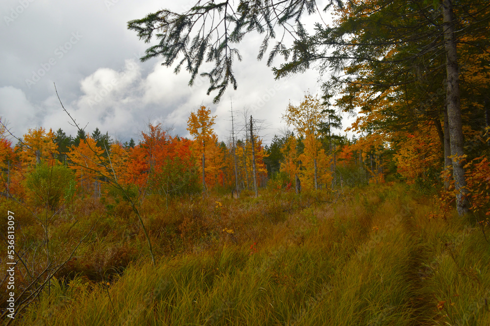 Fototapeta premium La Plaine 9 Octobre 2022