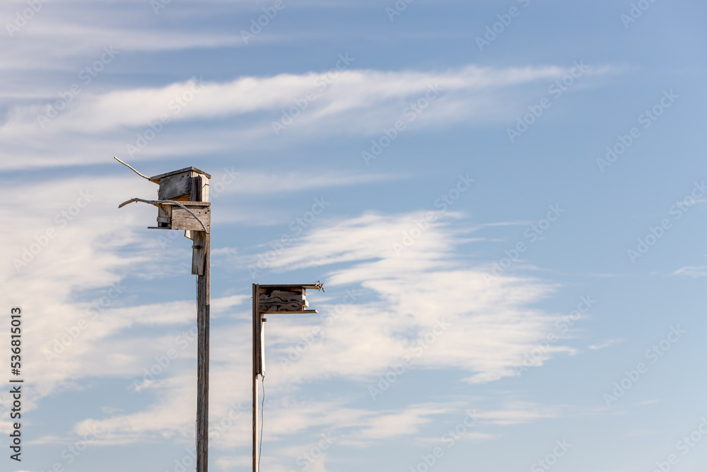 Nesting Boxes at English Bloom Preserve on Camano Island Wa