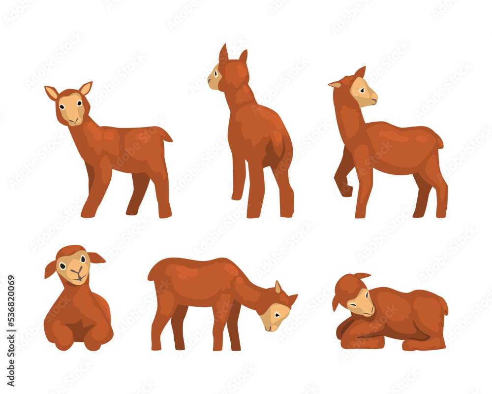 Cute Brown Lamb as Farm Animal in Different Poses Vector Set Cute Brown Lamb as Farm Animal in Different Poses Vector Set