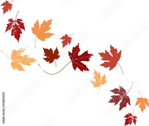 Obraz na plátně Autumn maple leaves, orange fall leaf, thanksgiving or halloween design elements