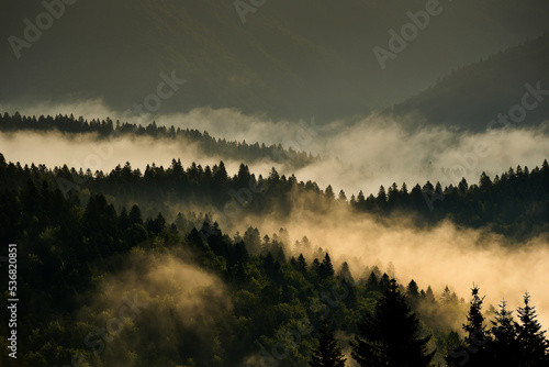 Fog rises from a spruce forest at sunrise. Beautiful autumn season.