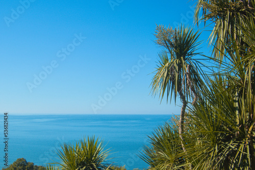 View ob black blue bright sea and green plants as relaxing bright summer exotic tropical background with copy free space for text © Darya
