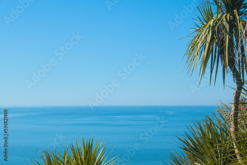 View ob black blue bright sea and green plants as relaxing bright summer exotic tropical background with copy free space for text