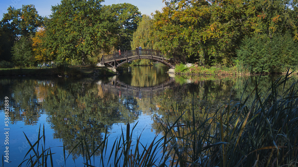 Romantische Holz Brücke am Teich in Johanna Park, Ufer mit Schilf, Spiegelung im Wasser, Leipzig, Sachsen, Deutschland Romantische Holz Brücke am Teich in Johanna Park, Ufer mit Schilf, Spiegelung im Wasser, Leipzig, Sachsen, Deutschland