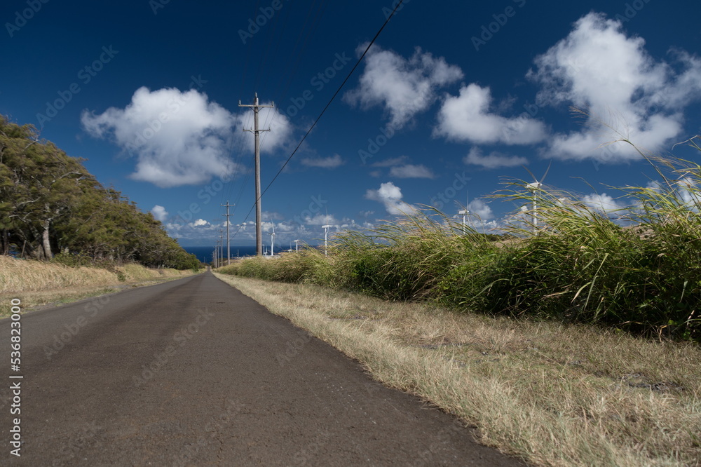 Road to windmill farm near Upolu Point - 2