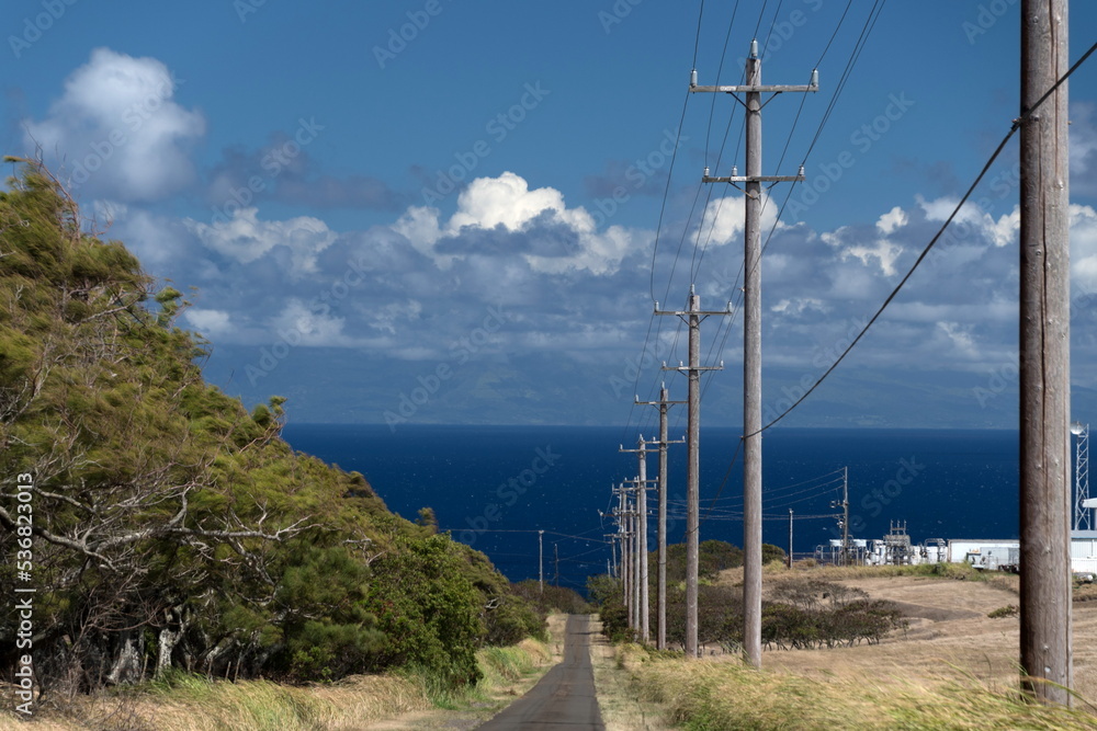Obraz premium Road to windmill farm near Upolu Point - 3