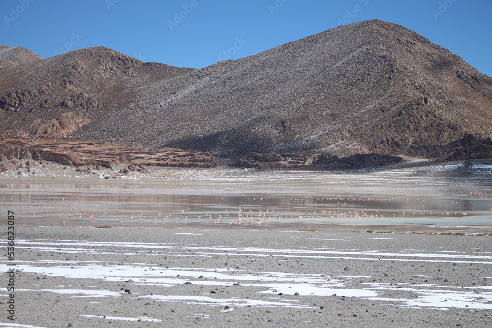Fototapeta premium Desert landscape of northwestern Argentina
