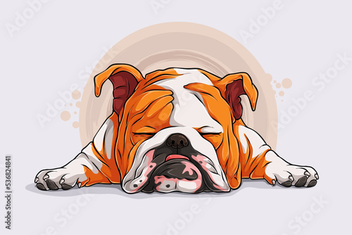 Hand drawn Lazy dog breed English Bulldog Sleeping on the floor isolated on white background