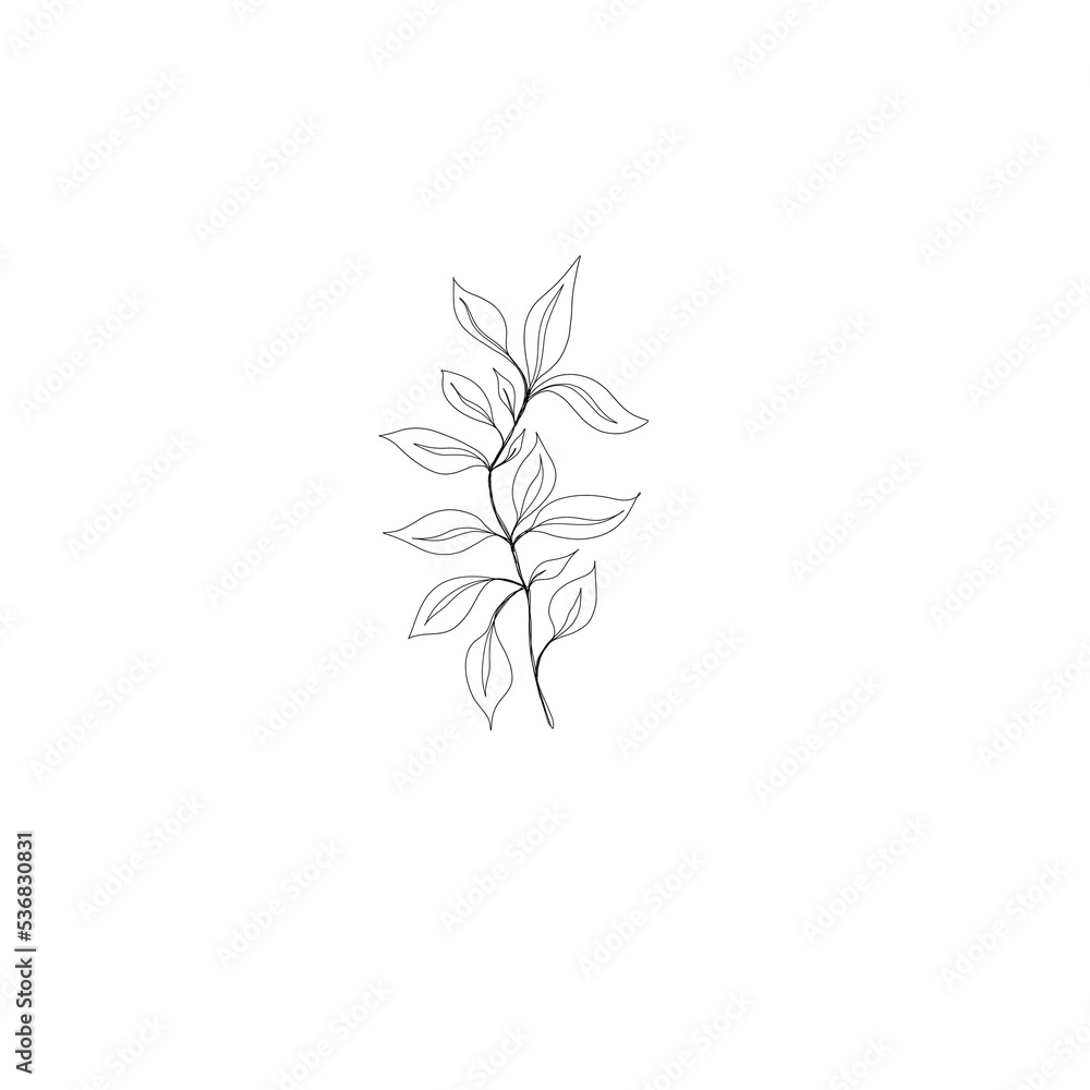 leaf pant line art. Minimalistic line drawing. leaf line art. Botanical drawing illustration by hand. leaf pant line art. Minimalistic line drawing. leaf line art. Botanical drawing illustration by hand.
