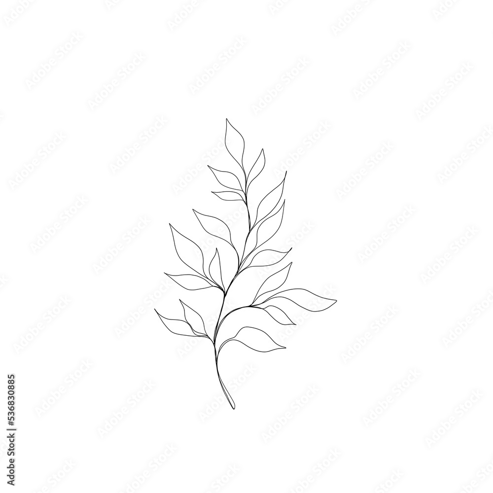  leaf pant line art. Minimalistic line drawing. leaf line art. Botanical drawing illustration by hand.