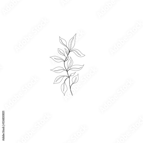  leaf pant line art. Minimalistic line drawing. leaf line art. Botanical drawing illustration by hand. © littlemagic
