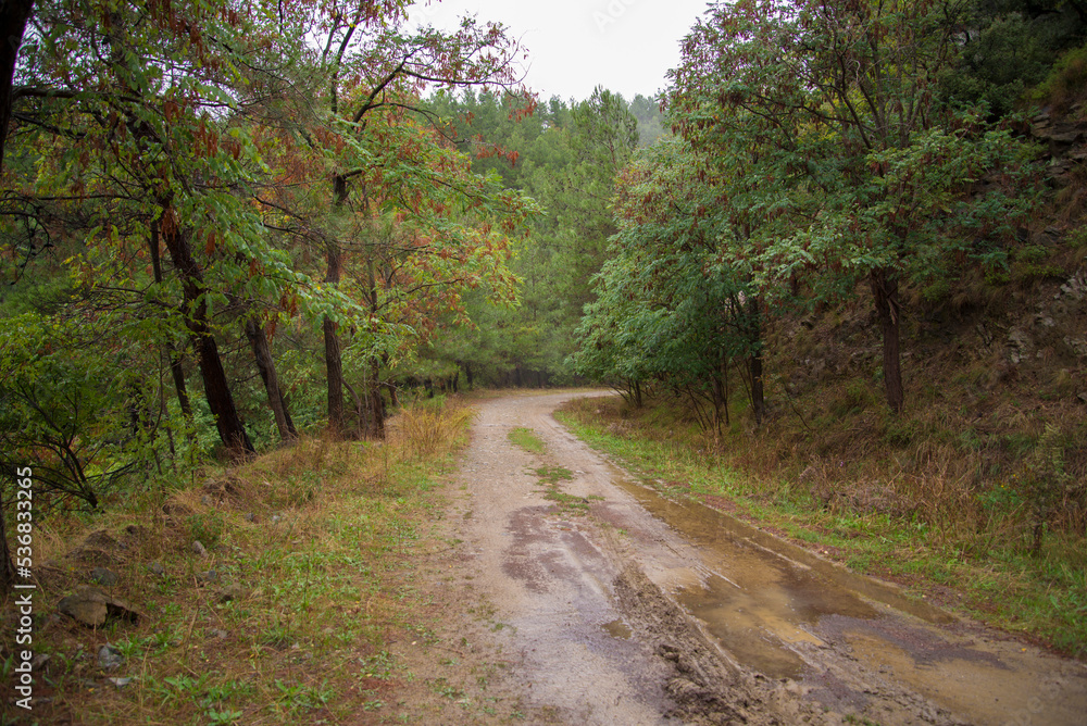 Fototapeta premium View over mountains