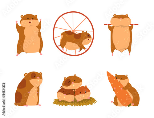 Cute Hamster as Small Pet with Cheek Pouches Engaged in Different Activity Vector Set