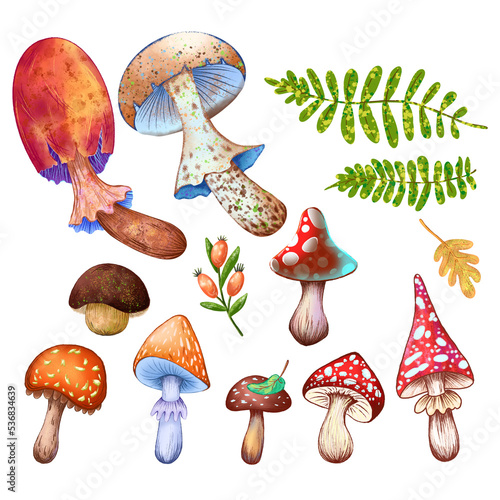 Decorative mushroom set, digital drawing, forest and autumn theme.
