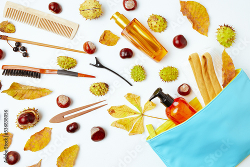 autumn flat lay with autumn leaves and chestnut