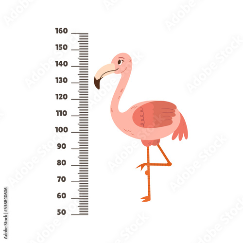 Kids Height Meter With Funny Cartoon Flamingo And Centimeter Scale. Growth Chart For Children Height Measurement