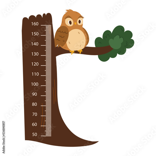 Kids Ruler With Cute Owl Sitting On Tree. Height Meter With Funny Forest Bird And Centimeter Scale. Growth Chart