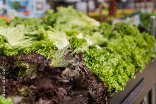 Fresh lettuce in the supermarket. Vegetables and fruits exposed for the consumer to choose