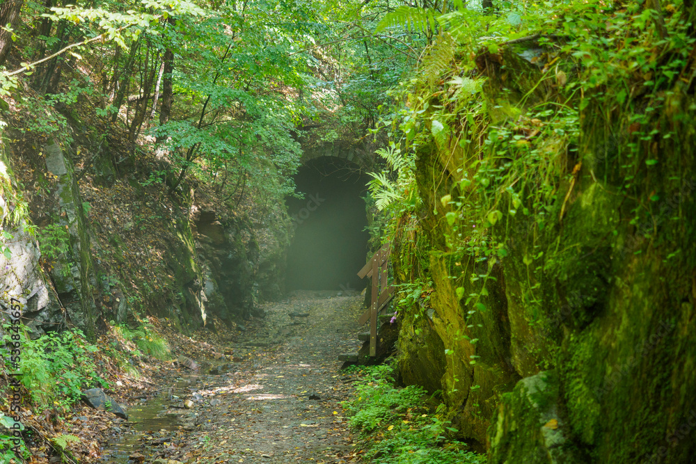 Fog in front of never used railway tunnel near by Slavosovce, Slovakia Fog in front of never used railway tunnel near by Slavosovce, Slovakia