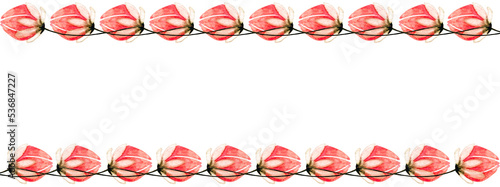 Banner con cornice orizzontale di fiori rosa, illustrazione isolata su sfondo bianco photo