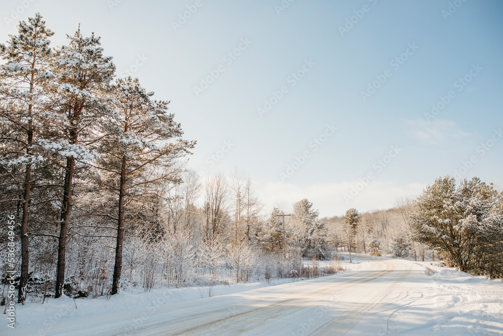 Sunny winter road Sunny winter road