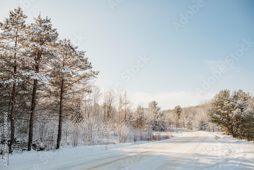 Sunny winter road © Shaylyn