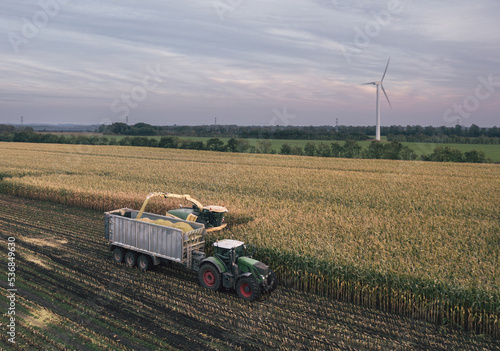 Obraz na płótnie Autumn harvesting of silage for cows feeding: a combine harvester and a tractor work in a corn field in Denmark w salonie