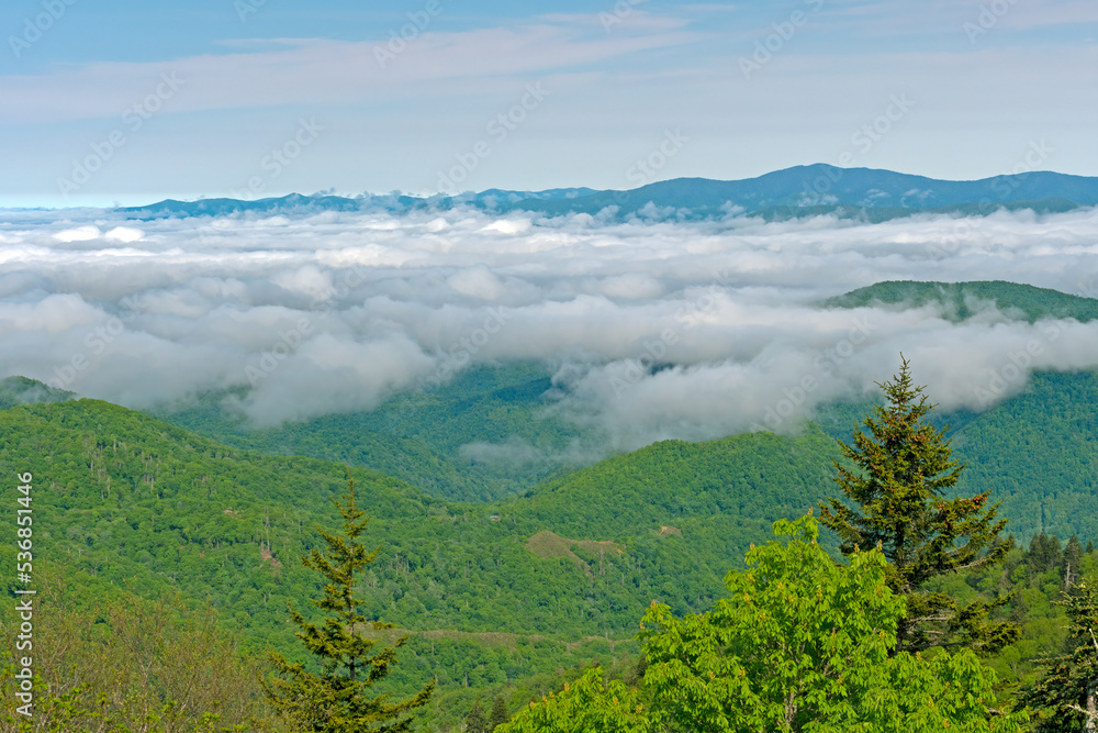 Obraz premium Morning Clouds Hanging Over the Mountains